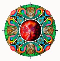 /album/fotogalerie/obr-14-jpg2/