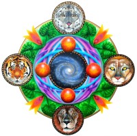 /album/fotogalerie/obr-15-1-jpg2/