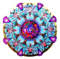 /album/fotogalerie/obr-24-jpg2/