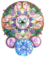 /album/fotogalerie/obr-26-jpg2/